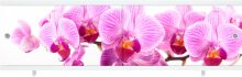 Экран п/в "Ультра легкий" Фото-Арт 1,5 (Дикая орхидея)